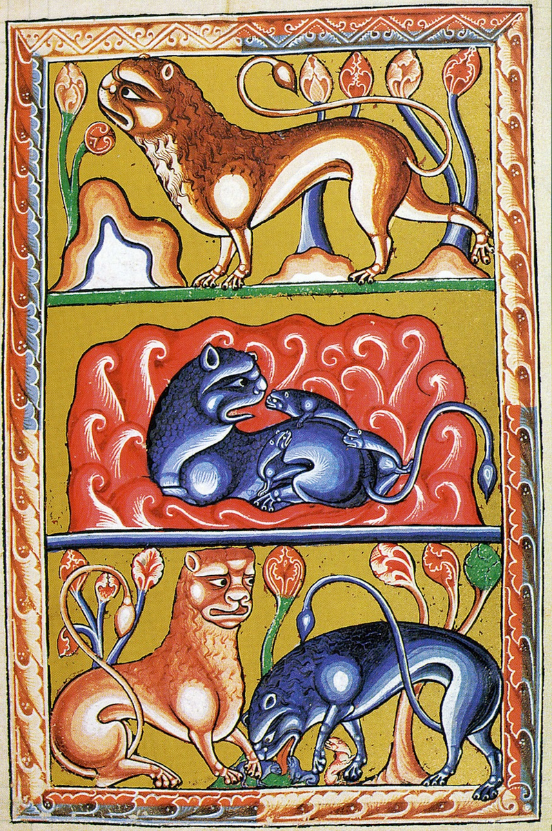 Illustration for article titled How Europeans Imagined Exotic Animals Centuries Ago, Based on Hearsay